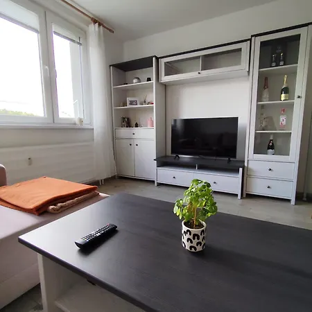Apartment Cozy With A View